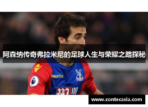 阿森纳传奇弗拉米尼的足球人生与荣耀之路探秘