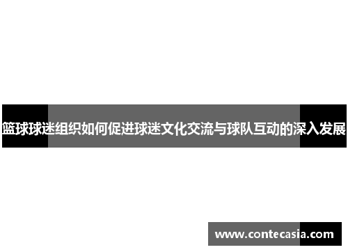 篮球球迷组织如何促进球迷文化交流与球队互动的深入发展