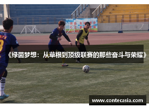 《绿茵梦想：从草根到顶级联赛的那些奋斗与荣耀》