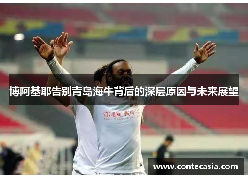 博阿基耶告别青岛海牛背后的深层原因与未来展望